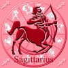 sagi35