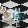 Thehackermate