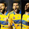 Torier
