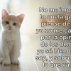 artur9