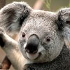 FabiL