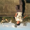 anonimos_ghost