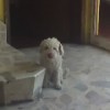 garalove