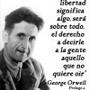 Palomo_Barras