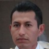 caiman