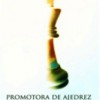 Promoajedrezhgo
