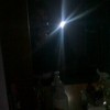 niupi