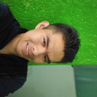Rey_Oso_