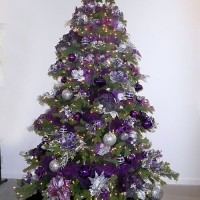 estrellitacin