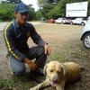 el_cerebro