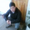 Gatto