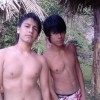 fanor