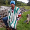 cocolizo
