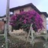 maridizl