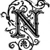 SKOKER1