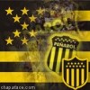 enrroque