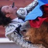 matador