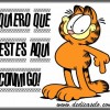 solitario11