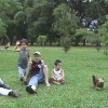 salo