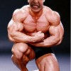 pulido