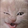 locurasdemichin