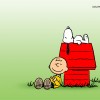 charly_brown