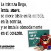 querido@hotmail.com
