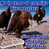 chombon