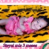 fianchesto_dama