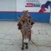 mirros
