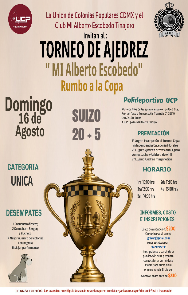 Ver pagina torneo