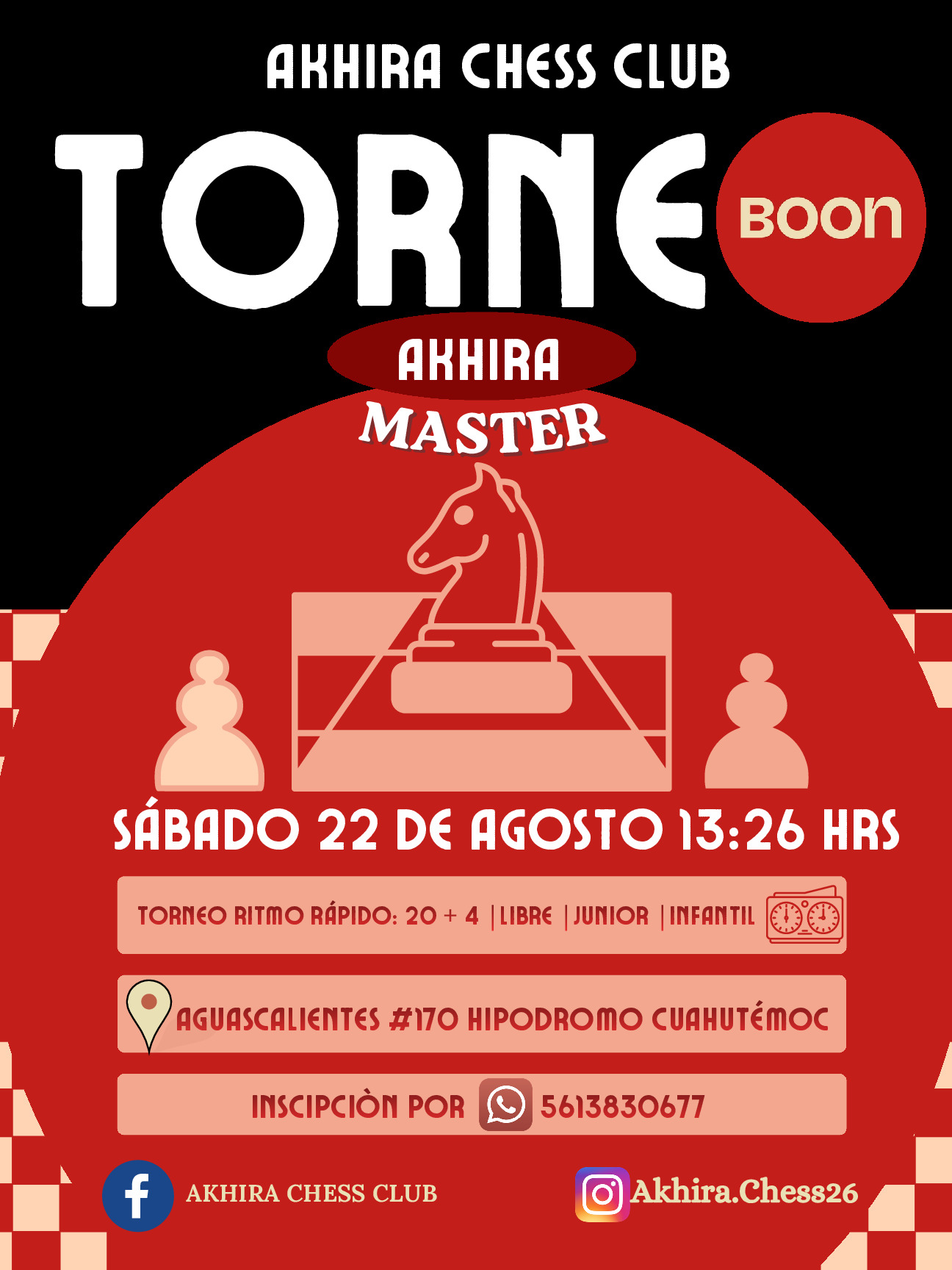Ver pagina torneo