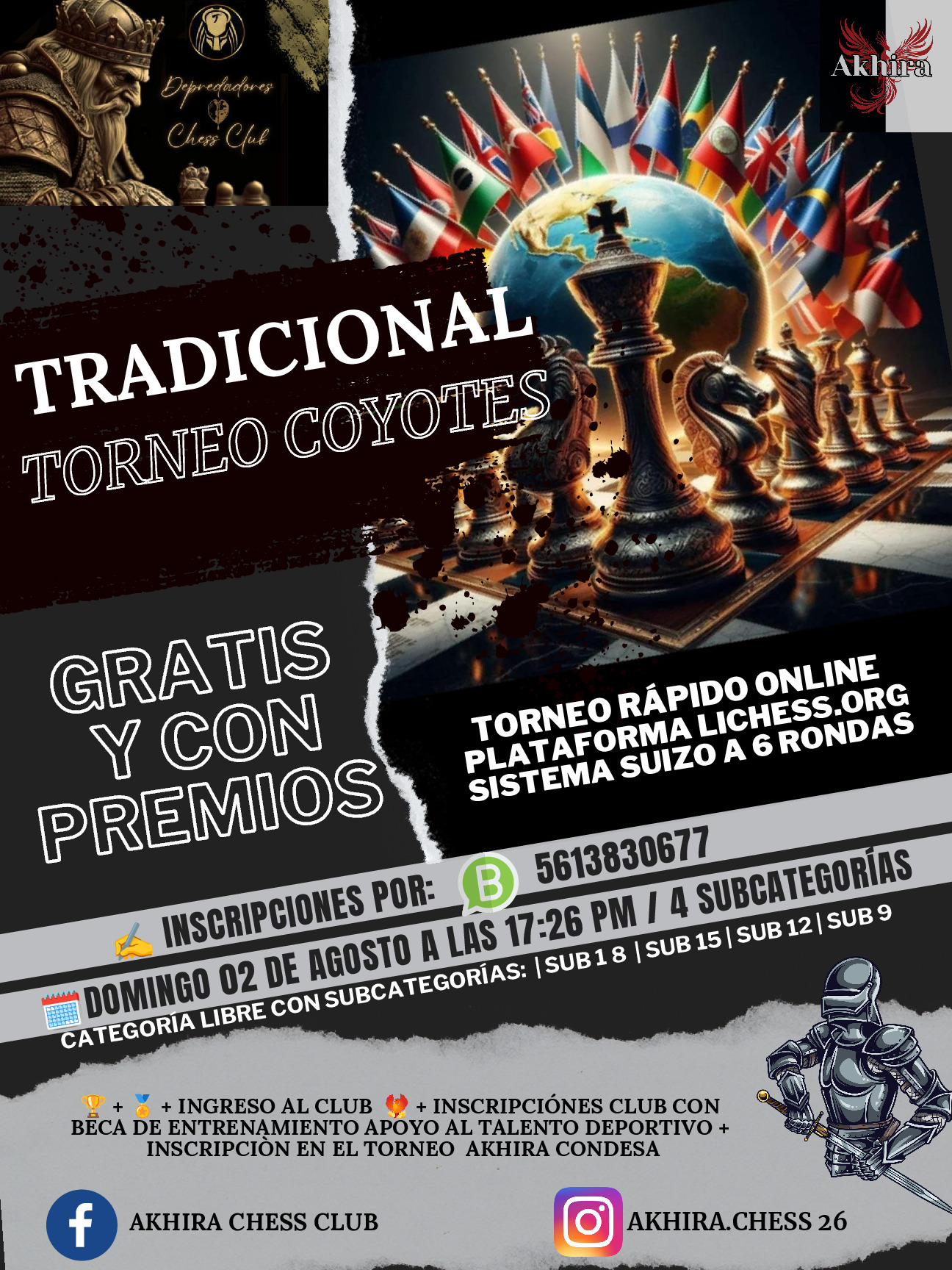 Ver pagina torneo
