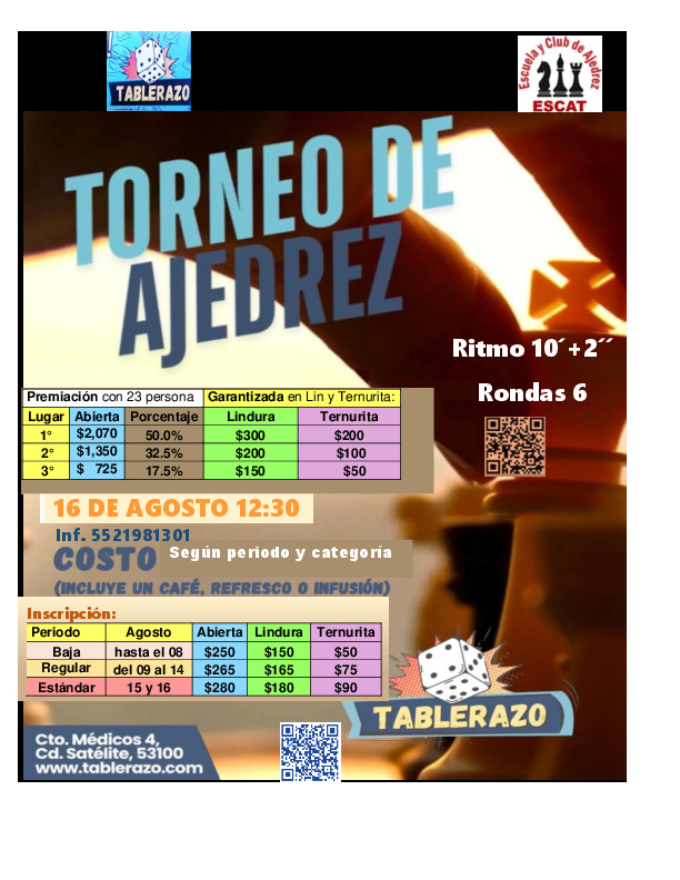 Ver pagina torneo